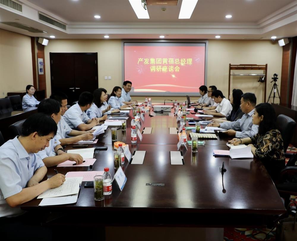 集團黨委副書記、總經(jīng)理黃蓓帶隊調(diào)研濟南市工程咨詢院